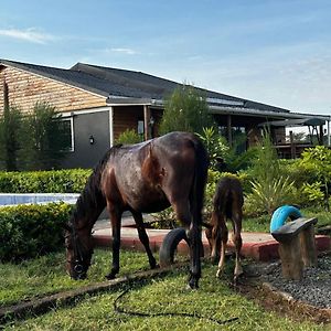 Rongai Greenleaf Farm Cottages Exterior photo