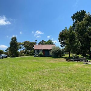 מלון Langwarrin Cosy Cabin Exterior photo