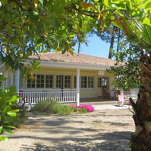 Le Piquey Belle Villa Caraibes Presqu'Ile Du Cap-Ferret Pres De L'Ocean Et Du Bassin Exterior photo