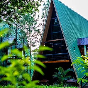 סן מיגל Hotel De Cristal & Hacienda De Los Morales Exterior photo