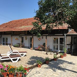 Stefan Stambolovo Sunflower Guest House Bulgaria Exterior photo