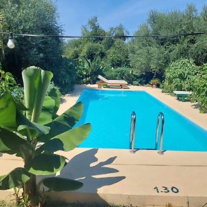 Dhrapaniás Sofiana Traditional Villa With Swimming Pool Exterior photo