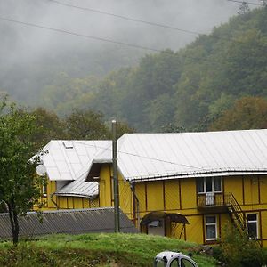 מלון Vizhenka Дім З Видом На Гори. Exterior photo