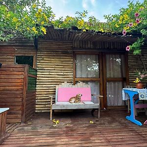 מלון Coveñas Laguna Rosa Glamping Exterior photo