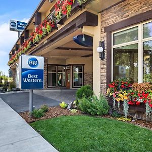 איידהו פאלס Best Western Driftwood Inn Exterior photo