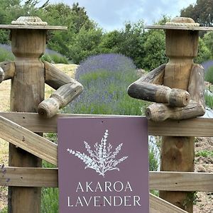 הוילה Duvauchelle Akaroa Lavender Exterior photo