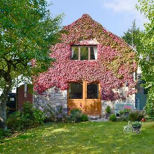 Llanferres Bryn Dedwydd Cottage Exterior photo