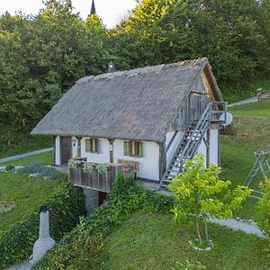 Srednje Grcevje Vineyard Cottage Skatlar 2 Exterior photo