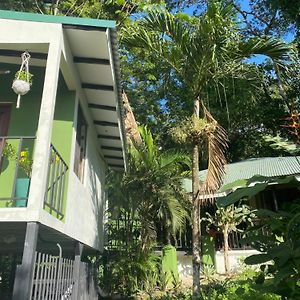 לינה וארוחת בוקר קאריו Luxury Jungle On A Budget Wisdom Bnb Exterior photo