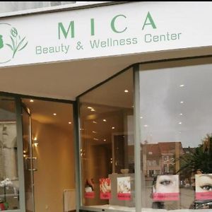 מלון Temse Mica Beauty Wellness Center Exterior photo