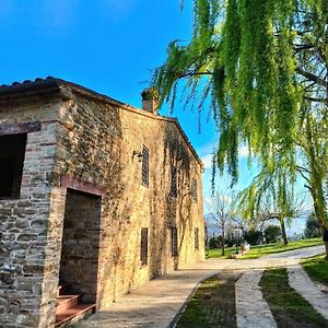 Castelplanio B&B Nel Vigneto Exterior photo