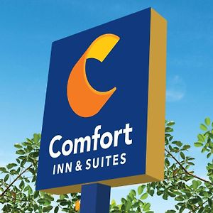 ווייקו Comfort Inn & Suites Exterior photo