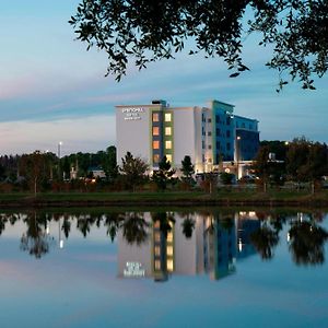 לנד או'לייקס Springhill Suites By Marriott Tampa Suncoast Parkway Exterior photo