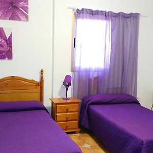 מלון חוף ואיה גראן ריי Pension Amparo Las Hayas Room photo