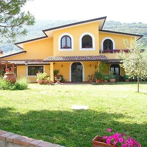 Nerola Azienda Agricola Il Bagolaro Exterior photo