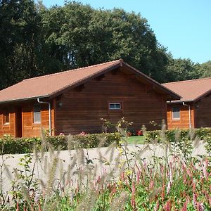 הוילה Boekel Chalet De Voetpomp Exterior photo