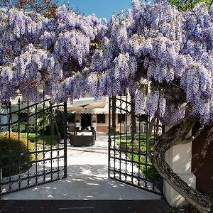 מלון Pasiano Di Pordenone Il Cecchini Exterior photo