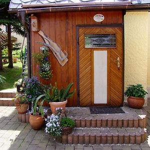 נויהאוזן Ferienhaus Erzgebirge "An Der Trebe" Mit Kamin Und Sauna Room photo
