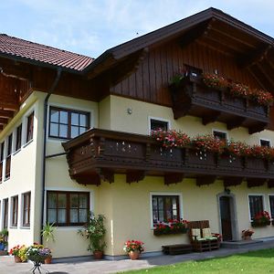 סנט גילגן Appart Weisse Urlauben Am Wolfgangsee Exterior photo