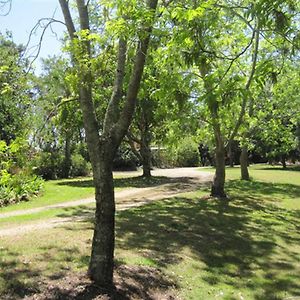 מלון Binna Burra Summerhills Retreat Byron Bay Exterior photo