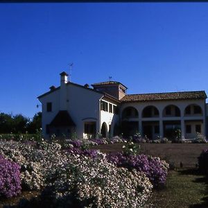 לינה וארוחת בוקר מונטבלונה Agriturismo Due Torri Exterior photo