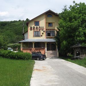 מלון פיאטרה ניאמט Pensiunea Bradu Exterior photo