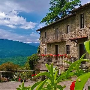 קסטיליונה די גרפניאנה B&B Il Casale Delle Pianacce Exterior photo