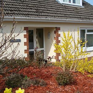 Tal-y-bont  Talybont B&B Aberystwyth Exterior photo