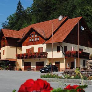 מלון Vace Pri Vidrgarju Exterior photo