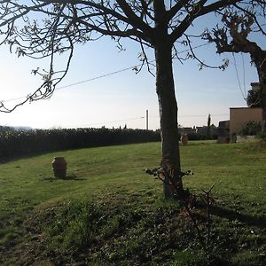 בית הארחה Cerbaia 	Agriturismo Le Caselle Room photo