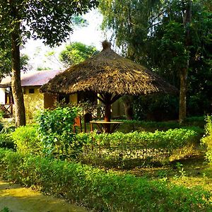 Bardiya Nature Safari Resort Exterior photo