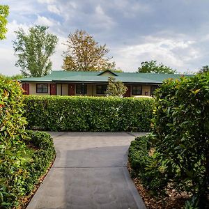 Denman The Grapevine Motel Exterior photo