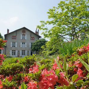 לינה וארוחת בוקר סנט-ג'וניין Le Clos De La Muse Exterior photo