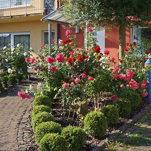 דירות Kapellen-Drusweiler Ferienhaus Schloss-Garten Exterior photo