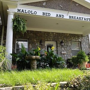 קפיטול הייטס Malolo Bed And Breakfast Exterior photo