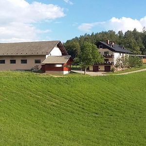 Stefanja Gora Apartment Vrtacnik Exterior photo