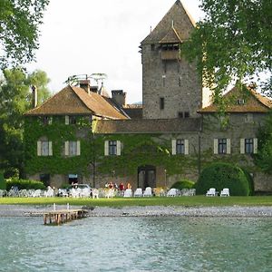 סיאז Chateau De Coudree - Les Collectionneurs Exterior photo