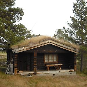 Heidal Lusaeter Timber Cabins Room photo