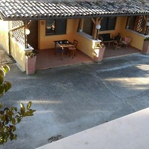 לינה וארוחת בוקר ל'אקווילה Il Giardinaccio Agriturismo Exterior photo