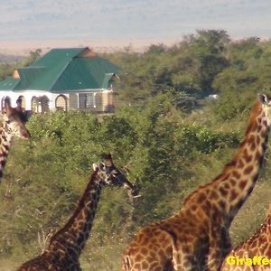 טאלק Narasha Homestay - Maasai Mara Exterior photo