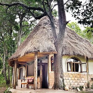 בית הארחה מסאי מארה 	House In The Wild Exterior photo