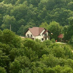 Poiana Mărului Pensiunea 7 Brazi Exterior photo