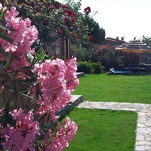 Sazlı Assos Sardunya Hotel Exterior photo