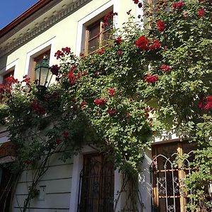 דירות קונטה הורה House Of Roses Exterior photo