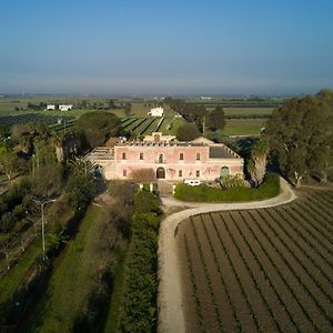 סליצ'ה סלנטינו Masseria Mazzetta Salento Corte Del Falconiere B&B Exterior photo