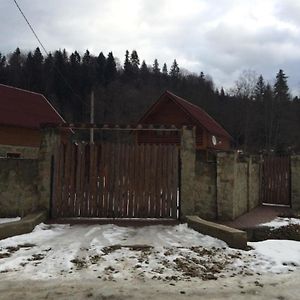 מיגובו Guest House In Carpathians Exterior photo