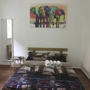 מלון מוטל פייר נתניה Room photo