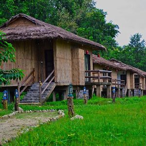 Kawasoti Temple Tiger Green Jungle Resort Room photo