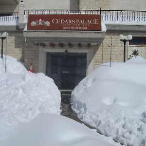 מלון אל ארז Cedars Palace Exterior photo