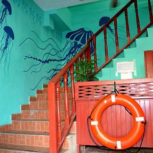 בוקס דל טורו Bocas Reef Hotel Exterior photo